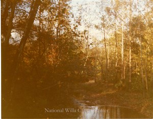 Image description is not available for PHO-4-W689-1706